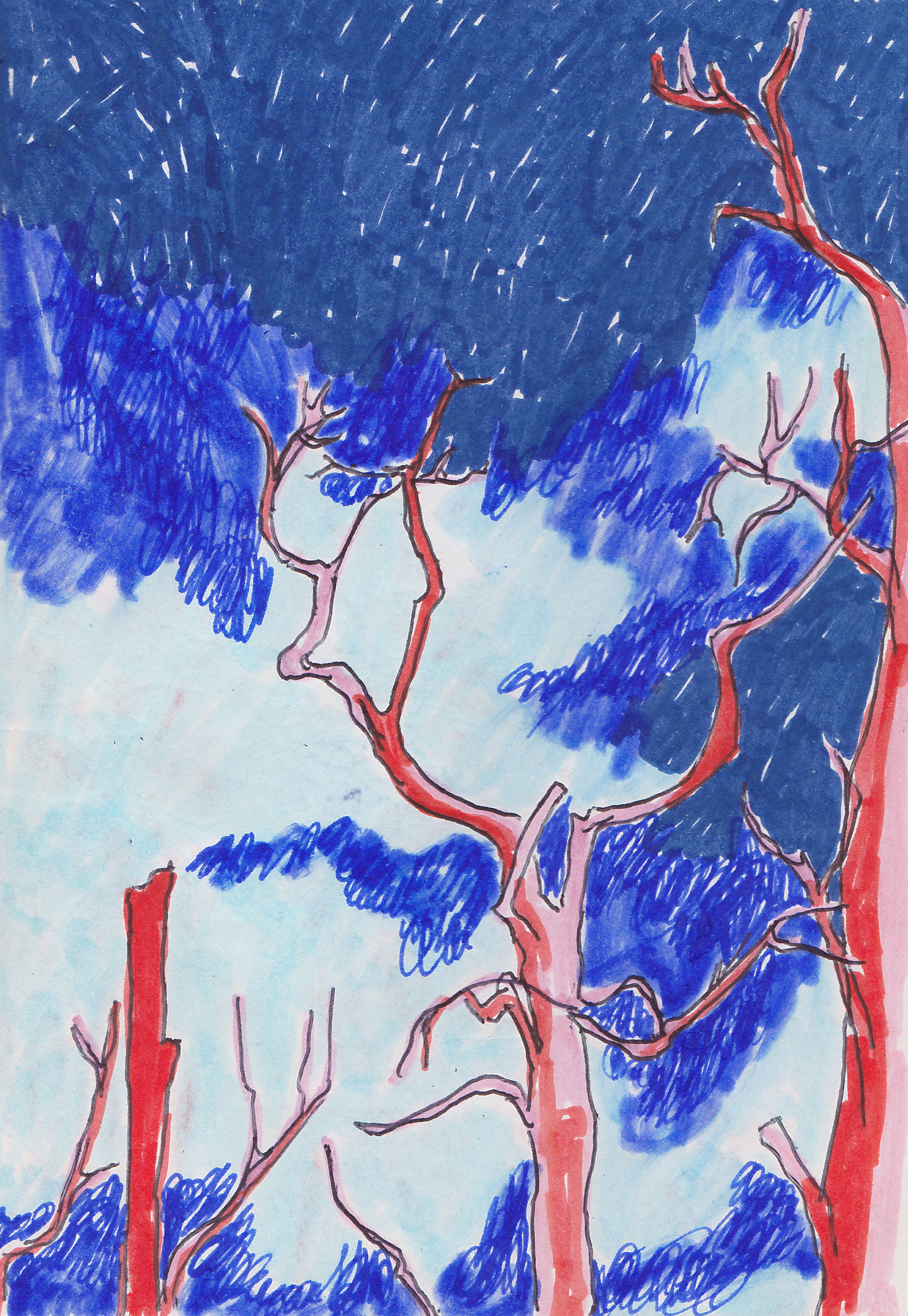 stormy dark blue sky with leavless red trees